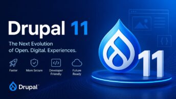 Drupal 11 visual: branding for the August 2024 release